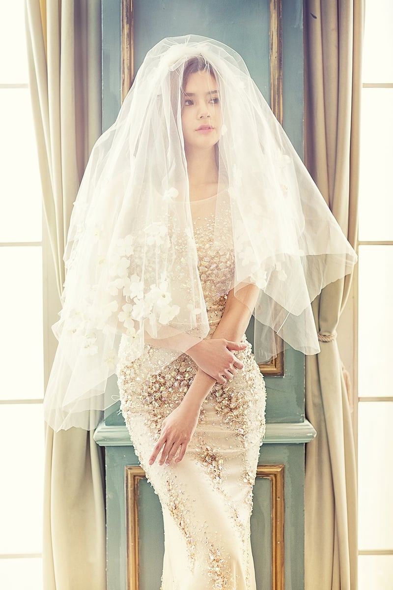 Bride's Dress